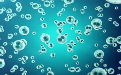 Regeneración de tejido con desarrollo mexicano de células madre